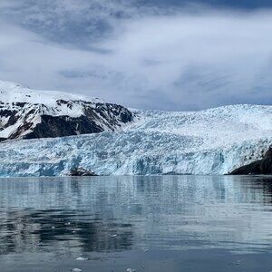 Meet your Posher, Gloria